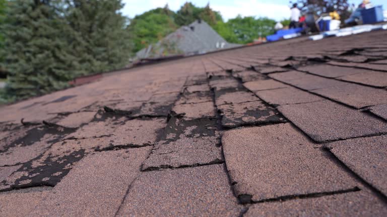 Trusted Robertsdale, AL Roofing Service Experts