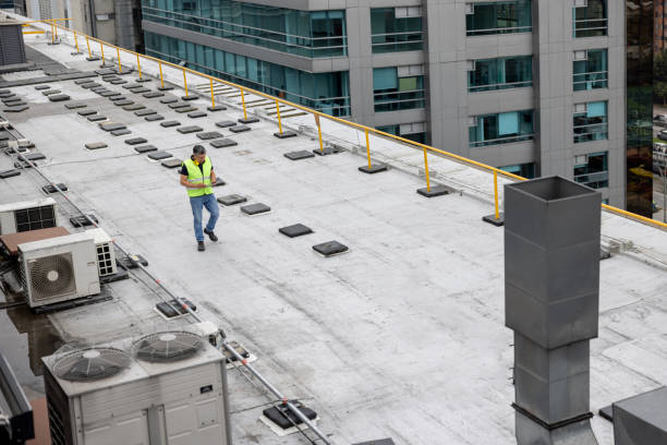 Best Roof Moss and Algae Removal  in Robertsde, AL