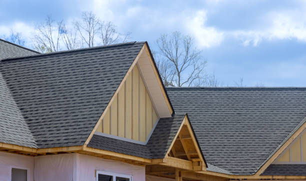 Best Solar Panel Roofing Installation  in Robertsde, AL