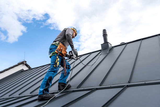 Best Metal Roofing Installation  in Robertsde, AL